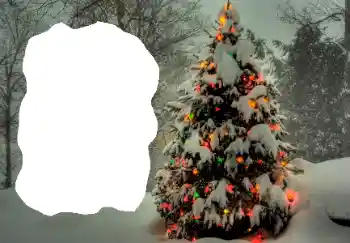 Photo effect from category Winter № 65514 Photo effect from category Winter № 65514