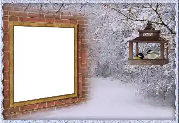 Photo effect from category Winter № 65557 Photo effect from category Winter № 65557