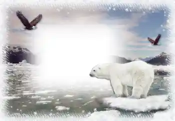 Photo effect from category Winter № 67044 Photo effect from category Winter № 67044