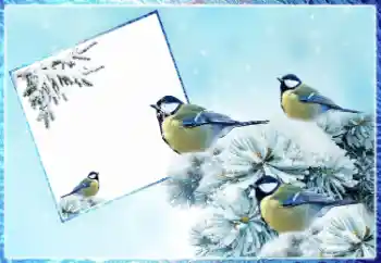 Photo effect from category Winter № 87962