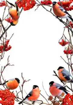 Photo effect from category Winter № 90578