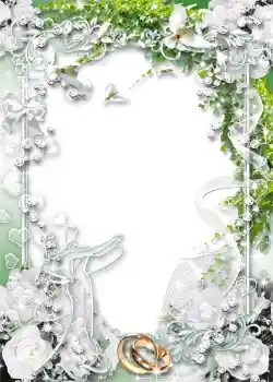 Photo effect from category Wedding frames № 1045 Photo effect from category Wedding frames № 1045