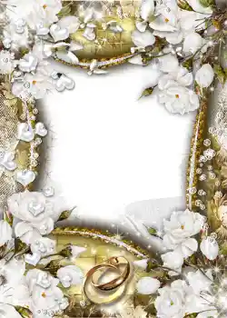 Photo effect from category Wedding frames № 1066 Photo effect from category Wedding frames № 1066
