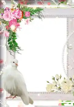 Photo effect from category Wedding frames № 113119 Photo effect from category Wedding frames № 113119