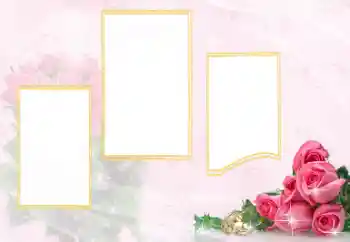 Photo effect from category Wedding frames № 114398 Photo effect from category Wedding frames № 114398