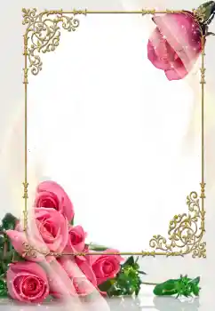 Photo effect from category Wedding frames № 114400 Photo effect from category Wedding frames № 114400