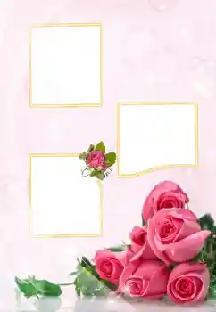 Photo effect from category Wedding frames № 114401 Photo effect from category Wedding frames № 114401