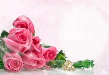 Photo effect from category Wedding frames № 114402 Photo effect from category Wedding frames № 114402