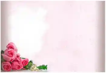 Photo effect from category Wedding frames № 114403 Photo effect from category Wedding frames № 114403