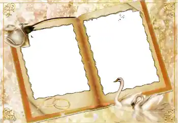 Photo effect from category Wedding frames № 114451 Photo effect from category Wedding frames № 114451