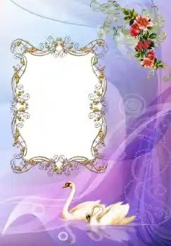 Photo effect from category Wedding frames № 117222 Photo effect from category Wedding frames № 117222