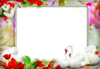 Photo effect from category Wedding frames № 120004 Photo effect from category Wedding frames № 120004