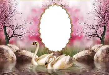 Photo effect from category Wedding frames № 121126 Photo effect from category Wedding frames № 121126