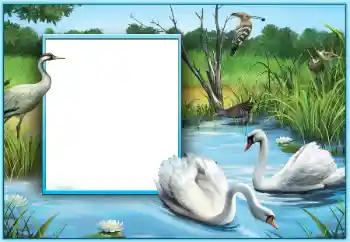 Photo effect from category Wedding frames № 124253 Photo effect from category Wedding frames № 124253