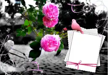 Photo effect from category Wedding frames № 12847