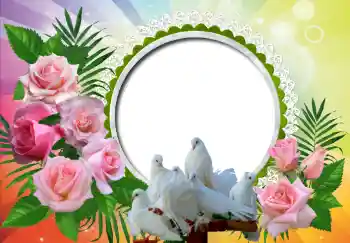 Photo effect from category Wedding frames № 130157 Photo effect from category Wedding frames № 130157