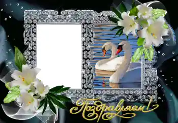 An inscription on the frame: Congratulations! An inscription on the frame: Congratulations!