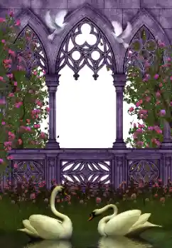 Photo effect from category Wedding frames № 130281 Photo effect from category Wedding frames № 130281