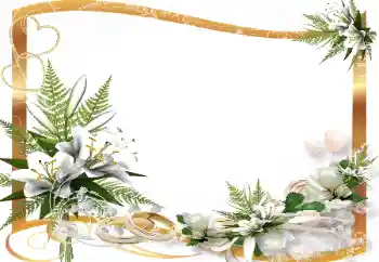 Photo effect from category Wedding frames № 139865 Photo effect from category Wedding frames № 139865