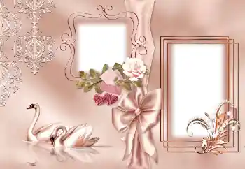 Photo effect from category Wedding frames № 143501 Photo effect from category Wedding frames № 143501