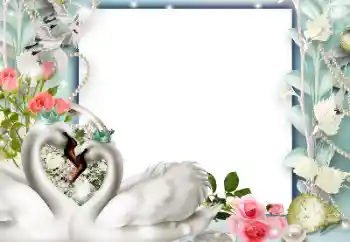 Photo effect from category Wedding frames № 143577 Photo effect from category Wedding frames № 143577