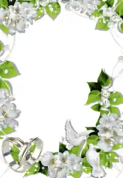 Photo effect from category Wedding frames № 145090 Photo effect from category Wedding frames № 145090