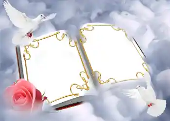 Photo effect from category Wedding frames № 146