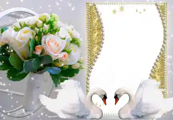 Photo effect from category Wedding frames № 149216 Photo effect from category Wedding frames № 149216