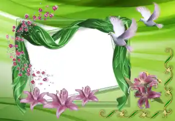 Photo effect from category Wedding frames № 150515 Photo effect from category Wedding frames № 150515