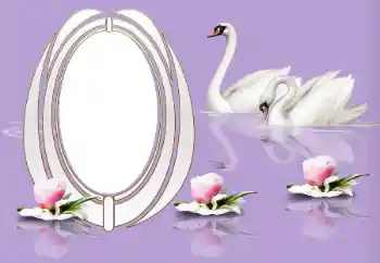 Photo effect from category Wedding frames № 153161 Photo effect from category Wedding frames № 153161