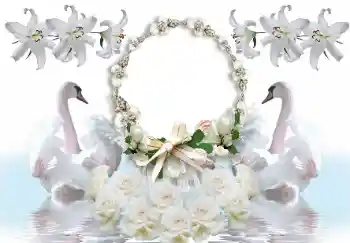 Photo effect from category Wedding frames № 154586 Photo effect from category Wedding frames № 154586