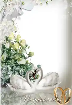 An inscription on the frame: Congratulations! An inscription on the frame: Congratulations!