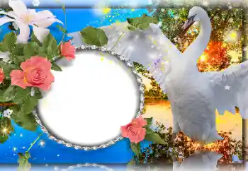 Photo effect from category Wedding frames № 157109 Photo effect from category Wedding frames № 157109