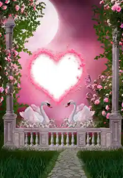 Photo effect from category Wedding frames № 157127 Photo effect from category Wedding frames № 157127