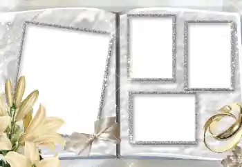 Photo effect from category Wedding frames № 157150 Photo effect from category Wedding frames № 157150
