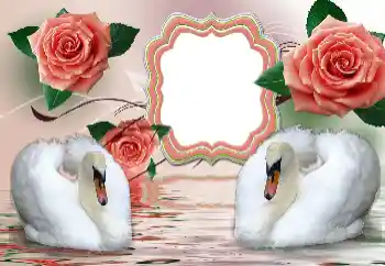 Photo effect from category Wedding frames № 160854 Photo effect from category Wedding frames № 160854