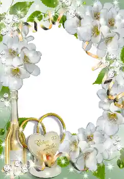 Photo effect from category Wedding frames № 1633 Photo effect from category Wedding frames № 1633