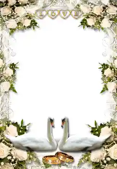 Photo effect from category Wedding frames № 1634 Photo effect from category Wedding frames № 1634