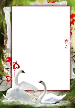 Photo effect from category Wedding frames № 166120 Photo effect from category Wedding frames № 166120