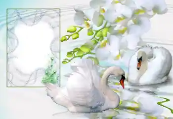 Photo effect from category Wedding frames № 166673 Photo effect from category Wedding frames № 166673