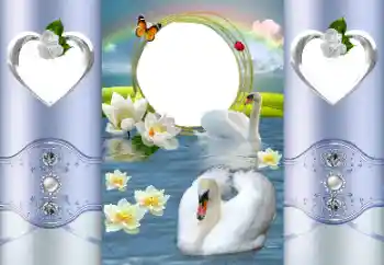 Photo effect from category Wedding frames № 167887 Photo effect from category Wedding frames № 167887