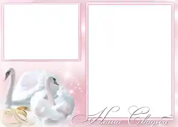 Photo effect from category Wedding frames № 167. An inscription on the frame: Our wedding Photo effect from category Wedding frames № 167. An inscription on the frame: Our wedding