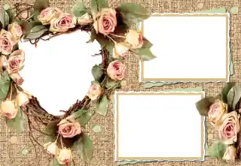 Photo effect from category Wedding frames № 17007 Photo effect from category Wedding frames № 17007