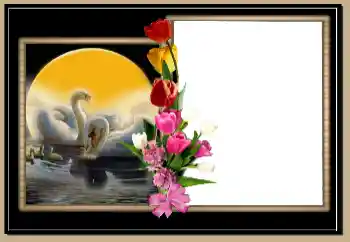 Photo effect from category Wedding frames № 171804 Photo effect from category Wedding frames № 171804
