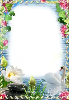 Photo effect from category Wedding frames № 174059 Photo effect from category Wedding frames № 174059