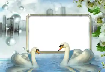 Photo effect from category Wedding frames № 176840 Photo effect from category Wedding frames № 176840