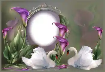 Photo effect from category Wedding frames № 185841 Photo effect from category Wedding frames № 185841