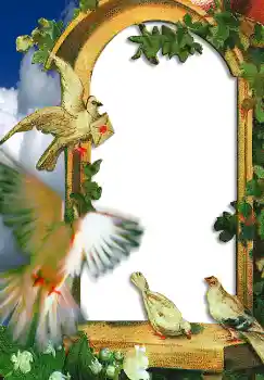 Photo effect from category Wedding frames № 2648 Photo effect from category Wedding frames № 2648
