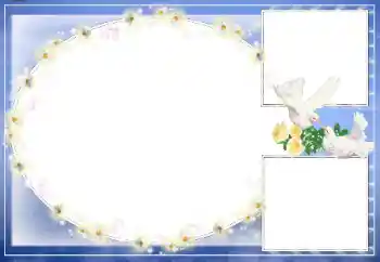 Photo effect from category Wedding frames № 26570 Photo effect from category Wedding frames № 26570