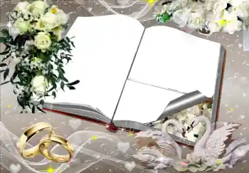 Photo effect from category Wedding frames № 2777 Photo effect from category Wedding frames № 2777